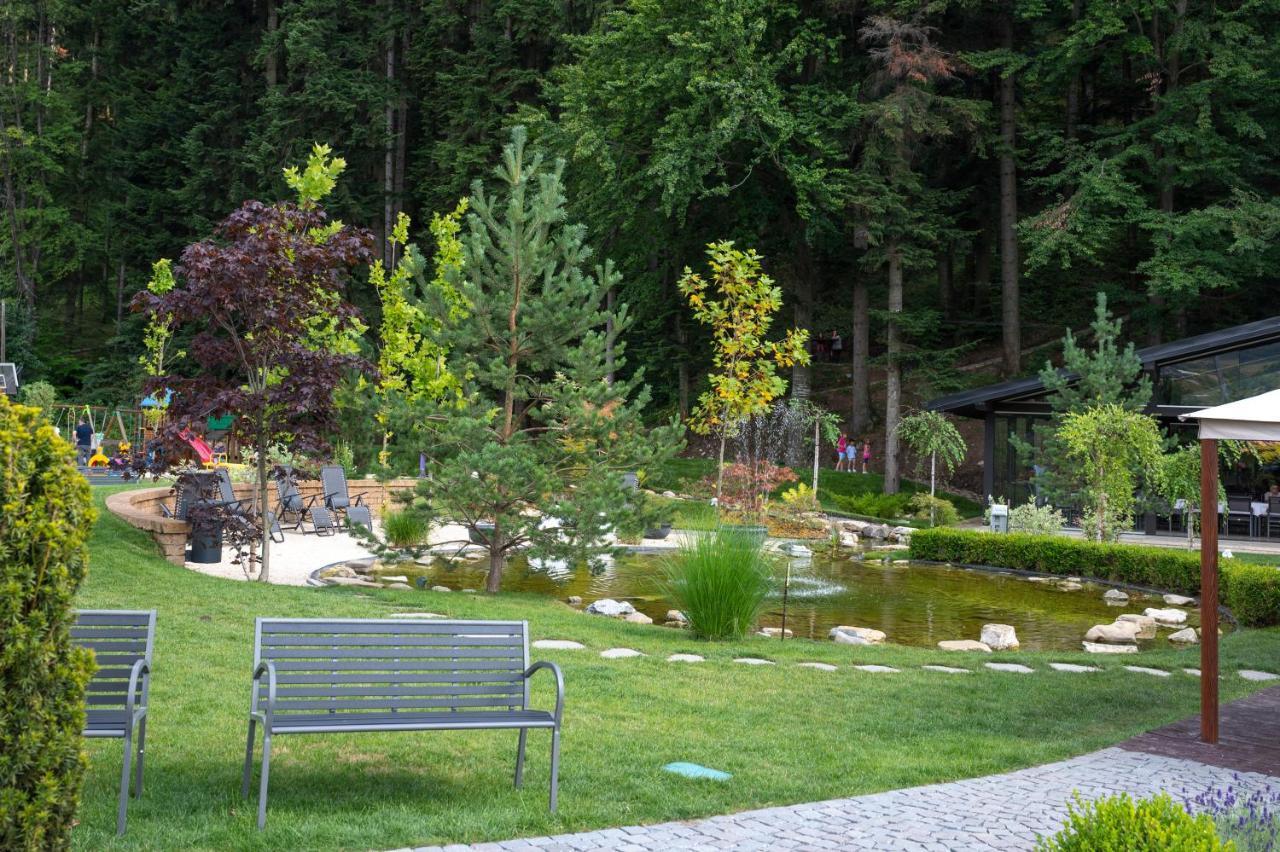 Piatra Pinului Ski & Spa جورا هومورولوي المظهر الخارجي الصورة